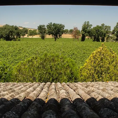 Carmelita Vakantiehuis Limigiano